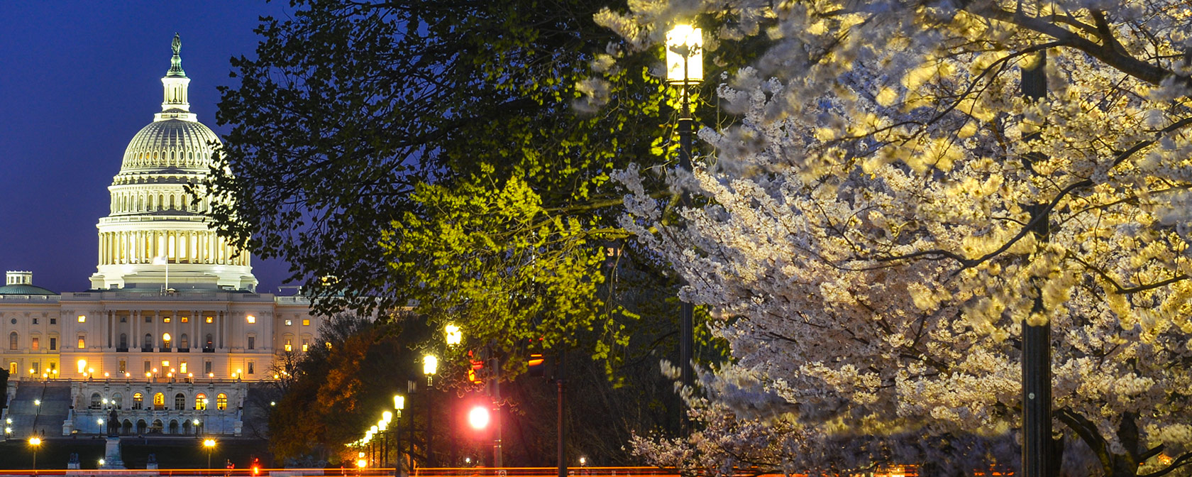 US Capitol at Night
