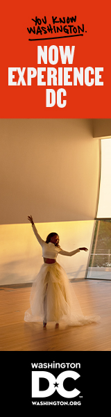 Experience DC banner ads - Cultured DC Fans