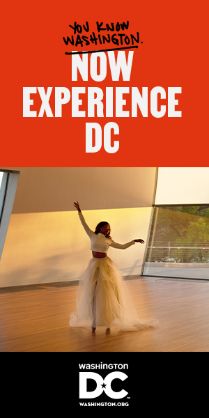 Experience DC banner ads - Cultured DC Fans
