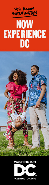 Experience DC banner ad - Family Travelers