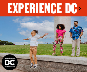 Experience DC banner ad - Family Travelers