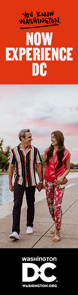 Experience DC banner ad - Historophiles