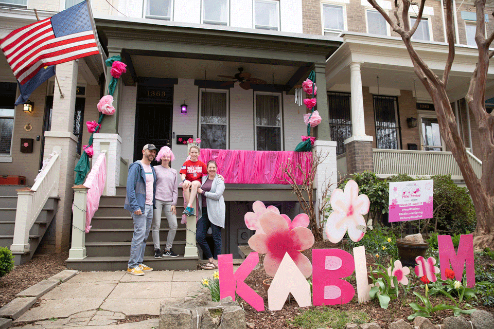 National Cherry Blossom Festival