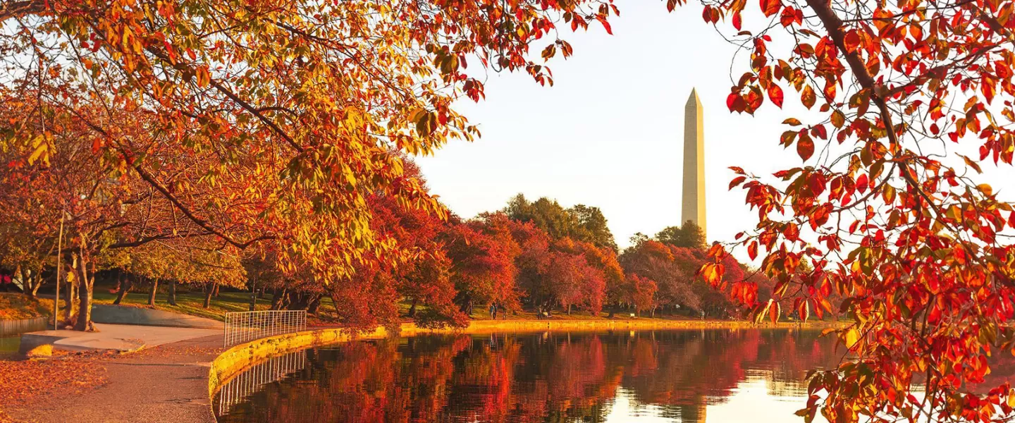 Tidal Basil in Autumn