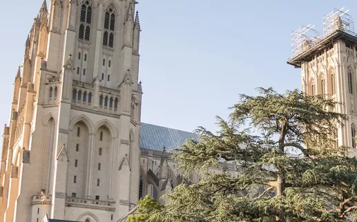 Washington National Cathedral in Upper Northwest - Things to do in Washington, DC