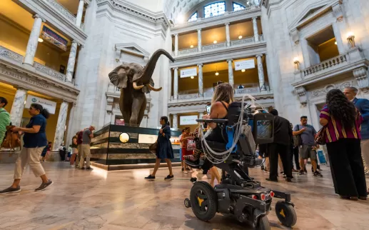 Accessibility in Smithsonian Museums 