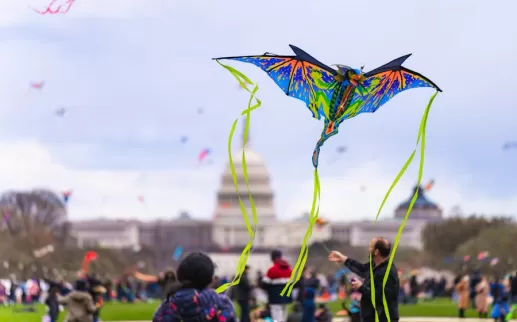 A vibrant kite flies in the foreground with the U.S. Capitol building in the background during the National Cherry Blossom Festival.
