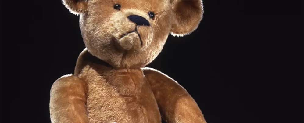 The First Teddy Bear